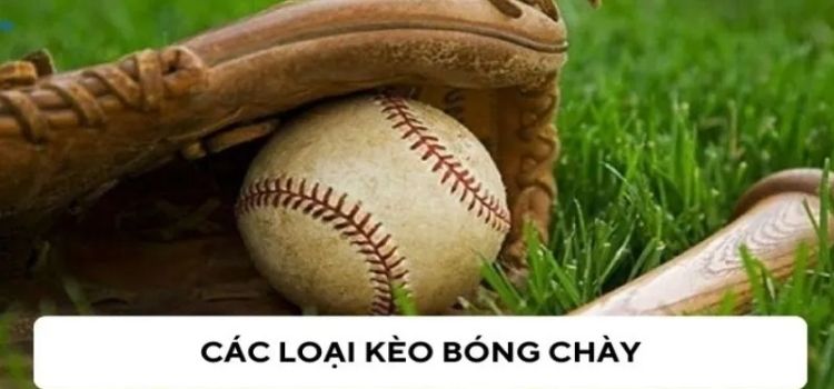 Lợi ích khi cá cược bóng chày tại HB88