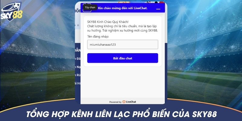 Hệ thống đã cung cấp tổng 4 phương thức liên hệ, người chơi lựa chọn phương thức nào cũng được giải quyết nhanh chóng nhất