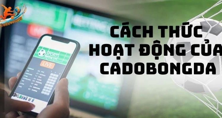  Cadobongda – Trang đánh giá website bóng đá số 1 tại Việt Nam